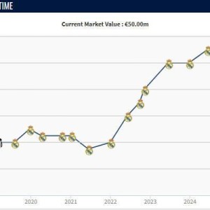 天博体育官方入口-正值当打之年，25岁罗德里戈两年内身价下跌6000万欧元